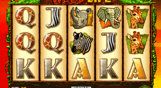 playing online slot games